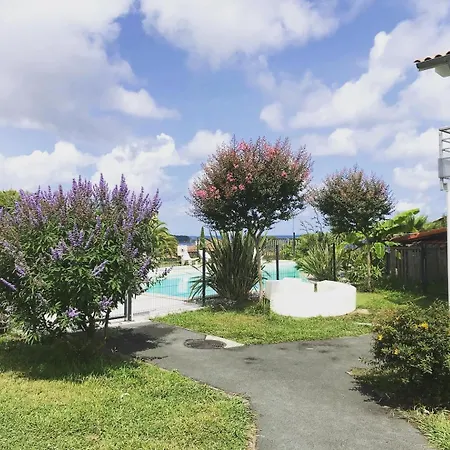 Bella Vista Guest Center Pays Basque *